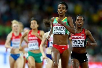 Genzebe Dibaba wins her 1500m semifinal at the IAAF World Championships, Beijing 2015 (Getty Images)