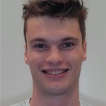 Theo Schaub