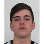 Denis Cristian TICLE