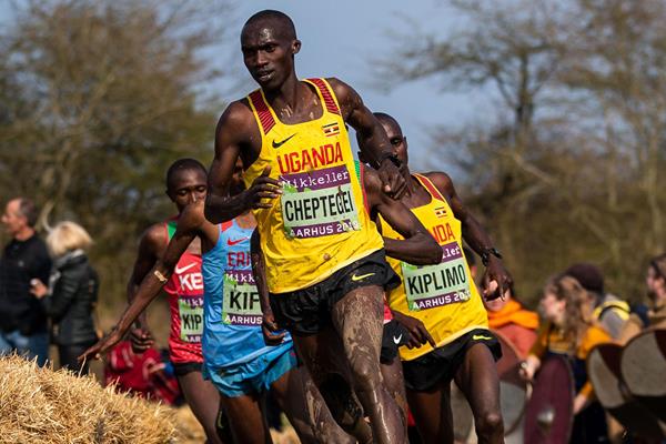 Joshua Cheptegei leads the senior men's race at the World Cross Country Championships Aarhus 2019 (Dan Vernon)