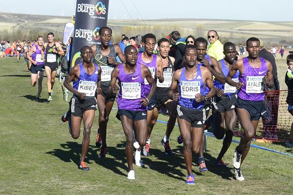 Senior men's race at the 2015 Cross Internacional de Atapuerca (Organisers)