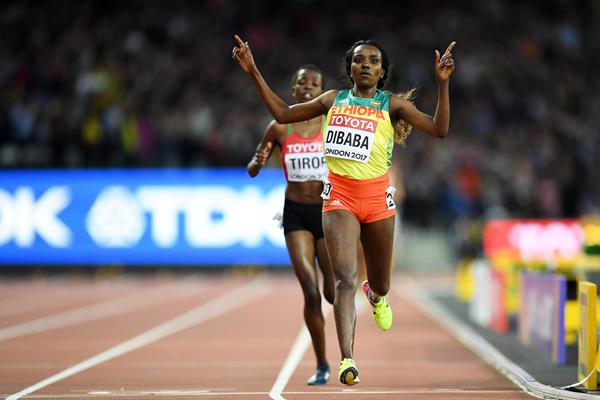 Tirunesh Dibaba Profile