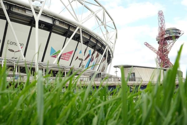 London Stadium (Michelle Sammet)