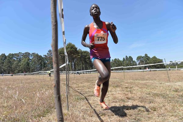 Agnes Tirop at the 2015 Discovery Kenya race (Jiro Mochizuki)