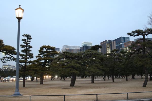 Tokyo's Imperial Palace Garden (Tokyo 2020 )