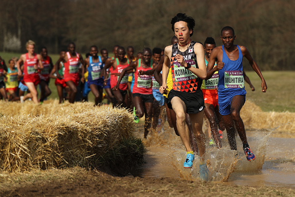 World Athletics Cross Country Championships Multimedia Ecac 2022 Cross Country Championship Results