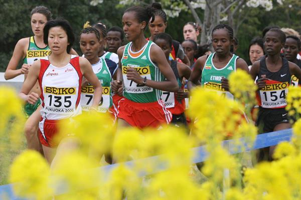 Hitomi Niiya leads the U20 women's race at the 2006 World Cross Country Championships in Fukuoka (AFP / Getty Images)
