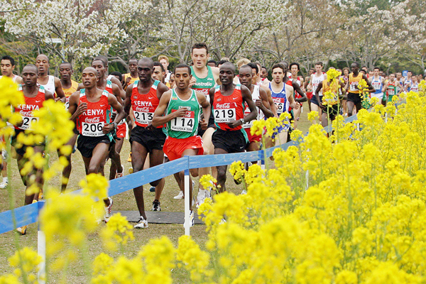 The senior men's race at the 2006 IAAF World Cross Country Championships in Fukuoka (AFP / Getty Images)