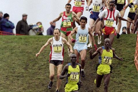 Image for Cross Country commission only ()