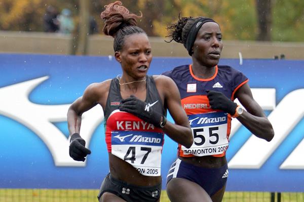Susan Chepkemei and Lornah Kiplagat in action at the 2005 IAAF World Half Marathon Championships in Edmonton (Getty Images)