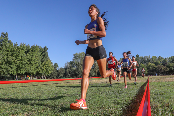 Champi and Toaquiza take South American crosscountry titles News