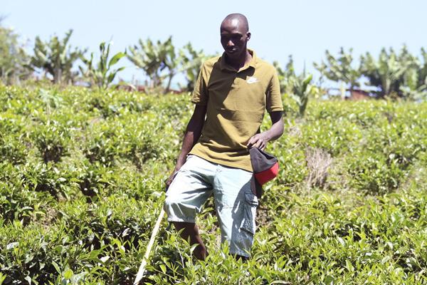 Timothy Cheruiyot on his farm in Singorwet (Dennis Okeyo)