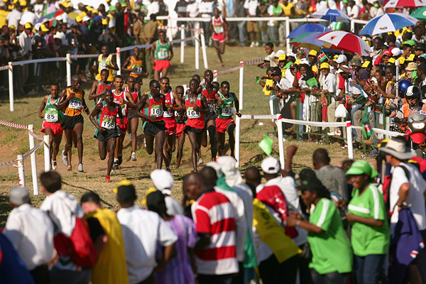 Junior men in action at the IAAF World Cross Country Championships (Getty Images)