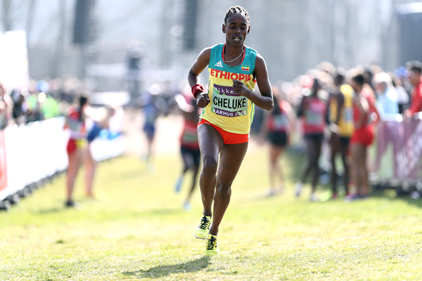 Bone Cheluke of Ethiopia in action in the mixed relay at the IAAF/Mikkeller World Cross Country Championships Aarhus 2019 (Getty Images)