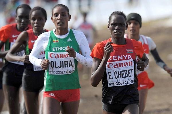 Emily Chebet of Kenya leads the senior women's race at the 2013 IAAF World Cross Country Championships, Bydgoszcz, Poland (Getty Images)