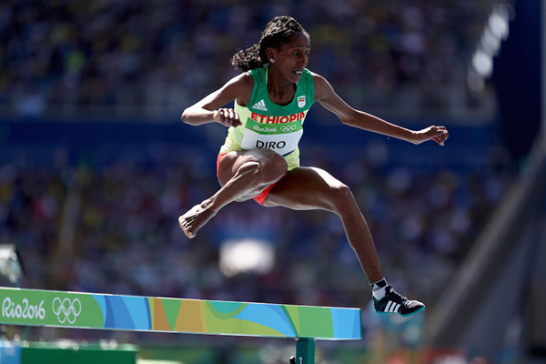 Etenesh Diro in the steeplechase at the Rio 2016 Olympic Games (Getty Images)