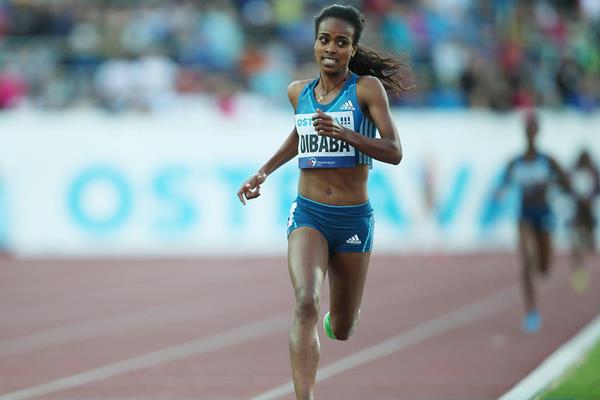 Genzebe Dibaba on her way to an African 2000m record in Ostrava (Pavel Lebeda / sport-pics.cz)