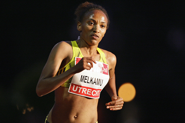 Meselech Melkamu en route to her 29:53.80 performance in Utrecht (AFP / Getty Images)