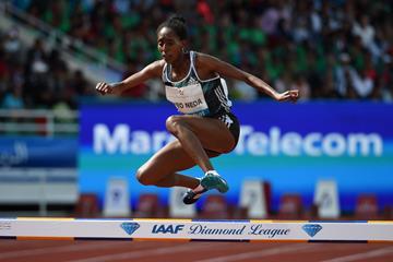 Etenesh Diro in the 3000m steeplechase at the IAAF Diamond League meeting in Rabat (Kirby Lee)