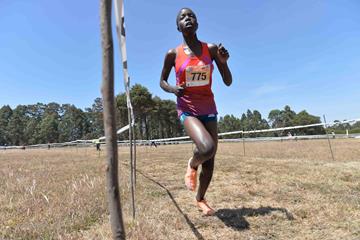 Agnes Tirop at the 2015 Discovery Kenya race (Jiro Mochizuki)
