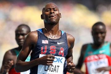 Bernard Lagat eases through the 5000m heats in Daegu (Getty Images)