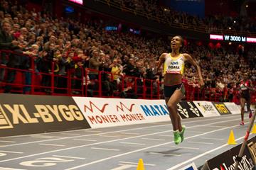 Ethiopia's Genzebe Dibaba on her way to breaking the world indoor 3000m record in Stockholm (DECA Text & Bild)