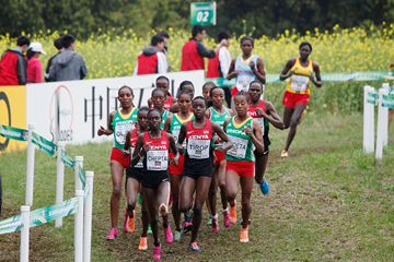 Irene Cheptai leads the senior women's race at the IAAF World Cross Country Championships Guiyang 2015 (Getty Images)