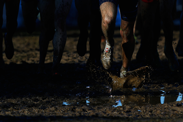 Cross-country runners in action (Getty Images)