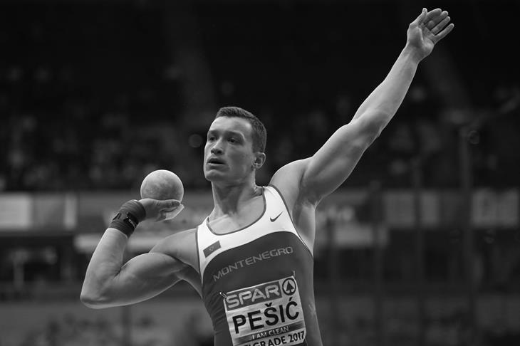 Darko Pesic ()