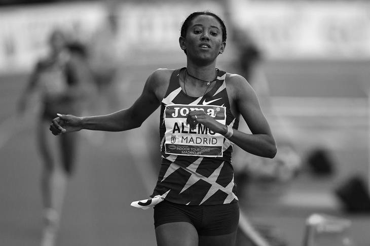 Habitam Alemu ()